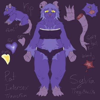 Colored one sided ref sheet