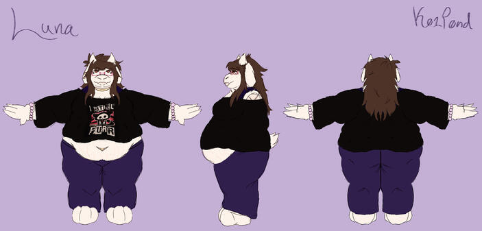 3 sided colored reference sheet