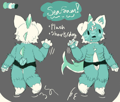 colored two sided ref sheet