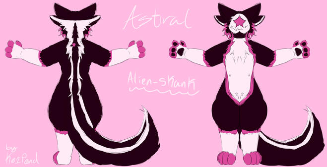 2 sided colored ref sheet